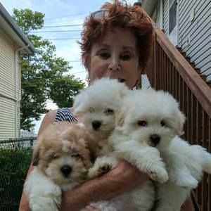 Meet your Posher, Helene